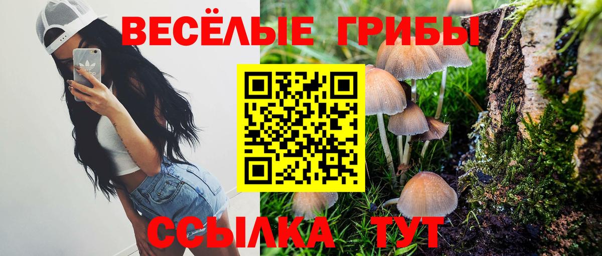 Псилоцибиновые грибы Psilocybe Реутов