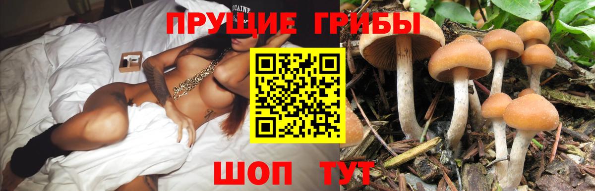 Галлюциногенные грибы Psilocybine cubensis  Псилоцибиновые грибы Psilocybe  Реутов  Вход с VPN 
